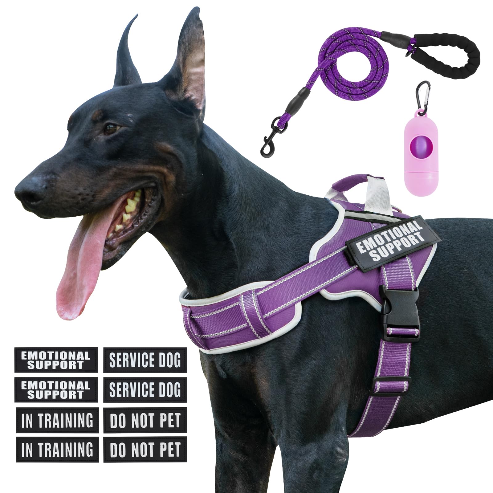 JUSTYEZI adjustable-easy-on-off harness enables quick fitting.