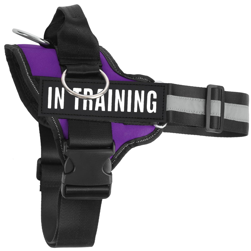 JUSTYEZI daily-walk-comfort-setup captures comfort and convenience on everyday outings.