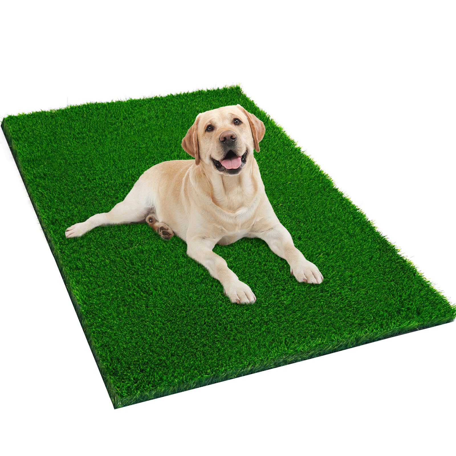 JUSTYEZI dog grass pad main view showcases a spacious potty area for puppies and dogs.
