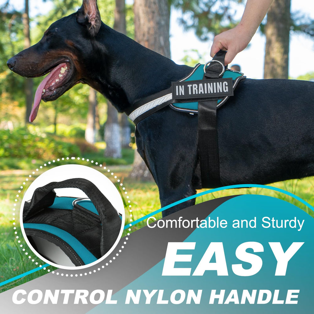 JUSTYEZI easy-on harness slides over the head for quick, stress-free setup.