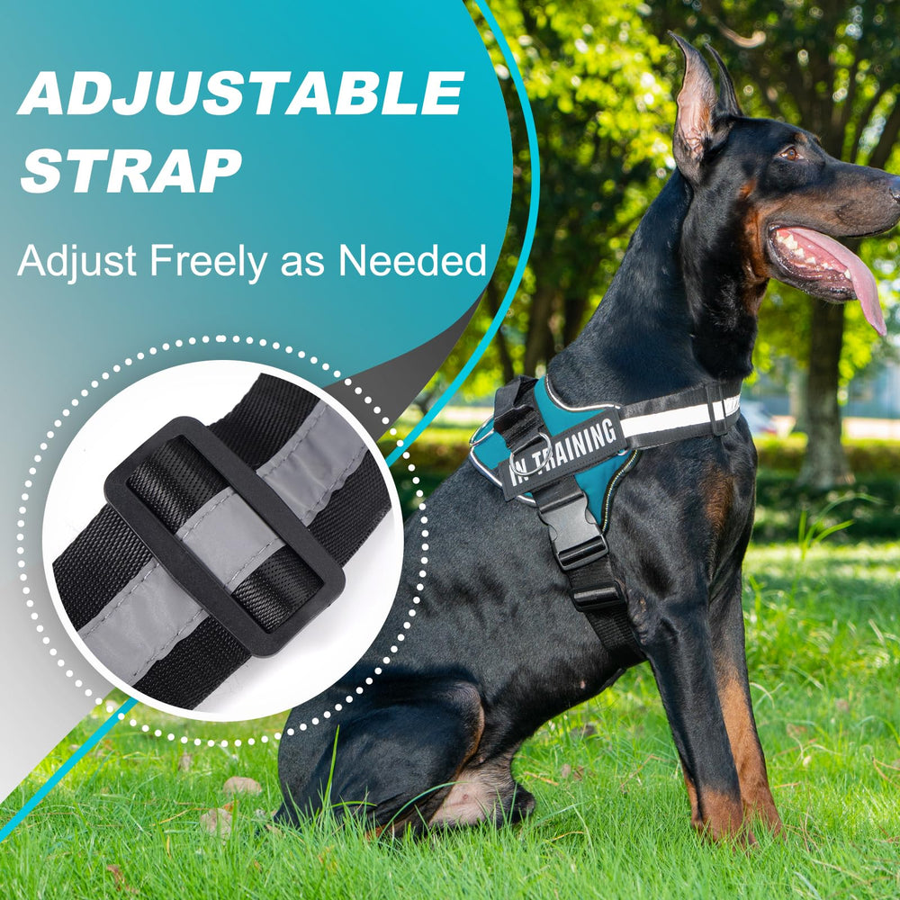 JUSTYEZI padded harness provides cushioned support to prevent chafing on longer adventures.
