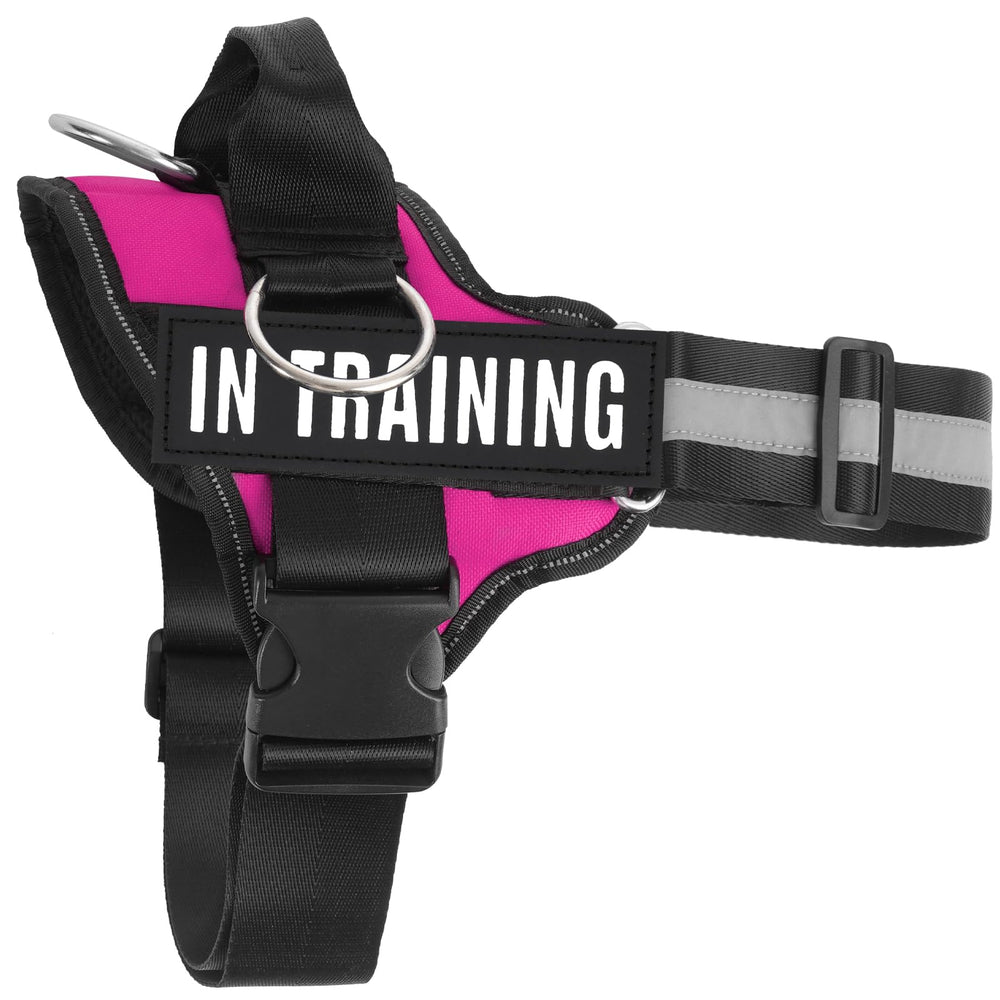 JUSTYEZI Versatile harness supports walking, training, and everyday wear