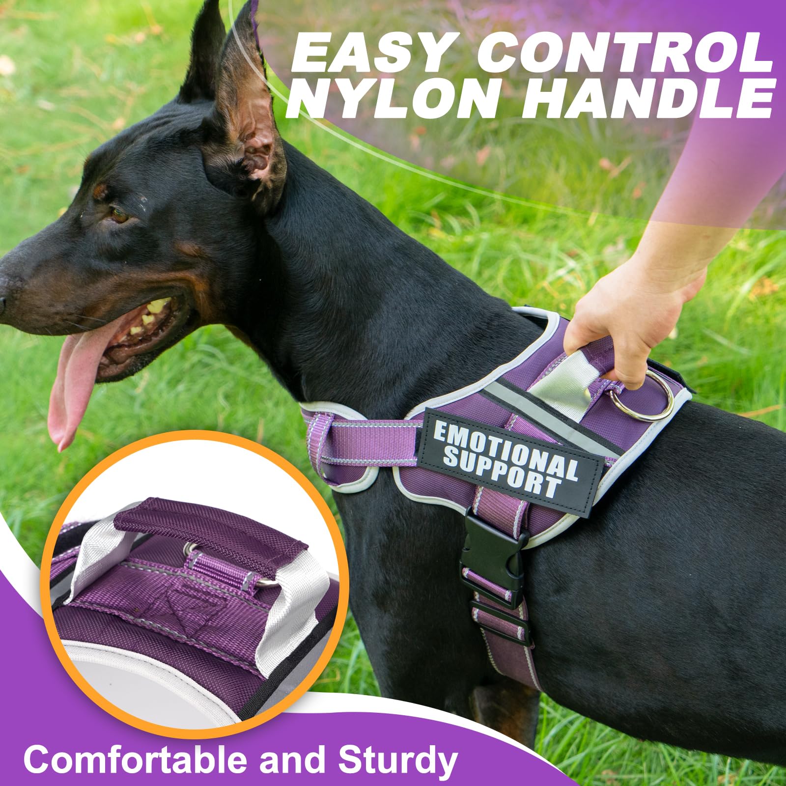 JUSTYEZI eight-patch set clarifies service dog roles during outings.