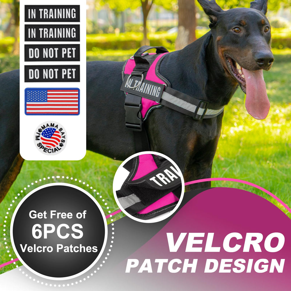 JUSTYEZI essential dog harness adjustable sizes fit small to large dogs