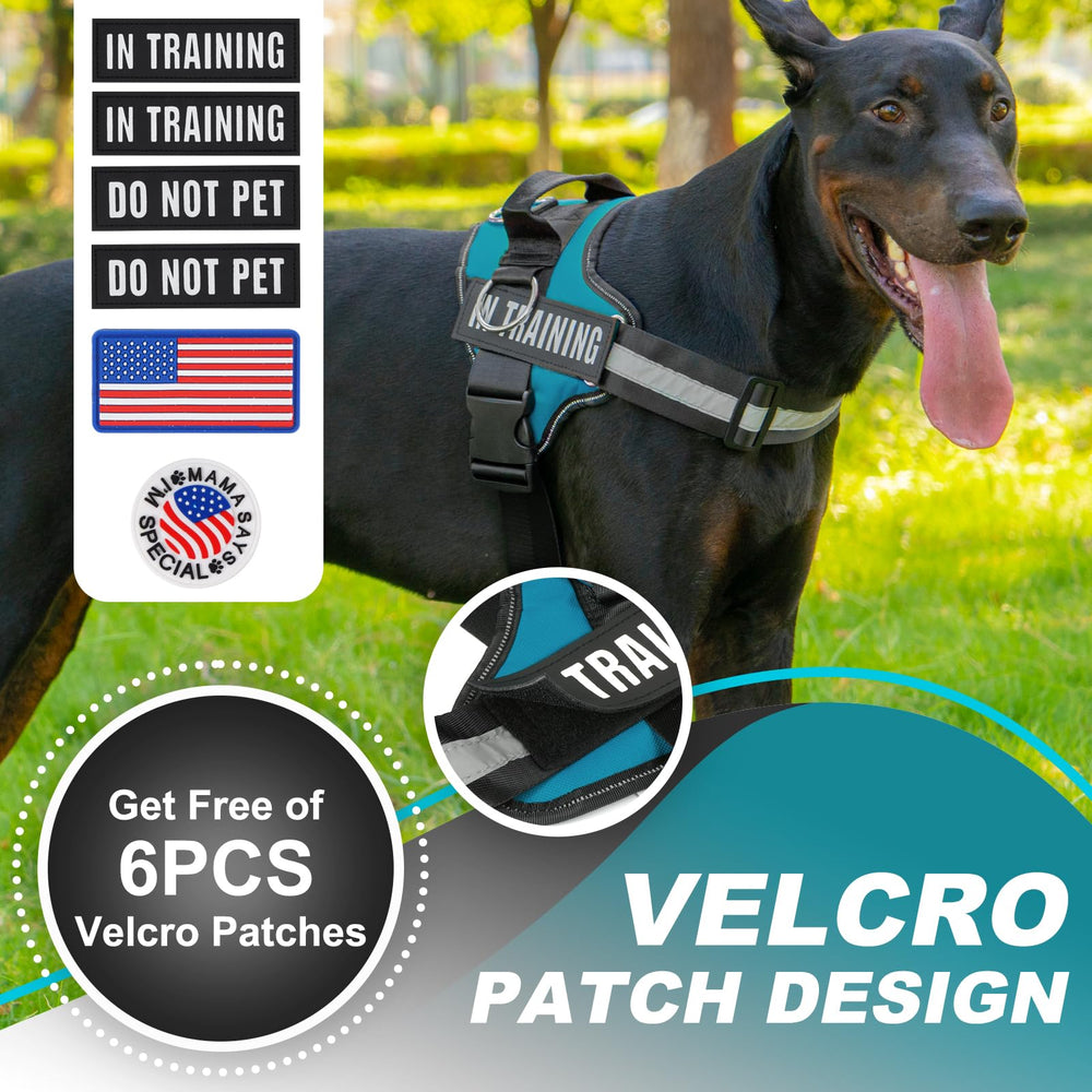 JUSTYEZI Essential Dog Harness adjustable-straps highlights customizable fit for growing dogs