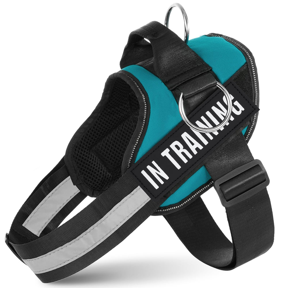 JUSTYEZI Essential Dog Harness breathable-padding enhances comfort on warm weather strolls