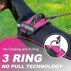 JUSTYEZI essential dog harness lightweight material ideal for daily walking