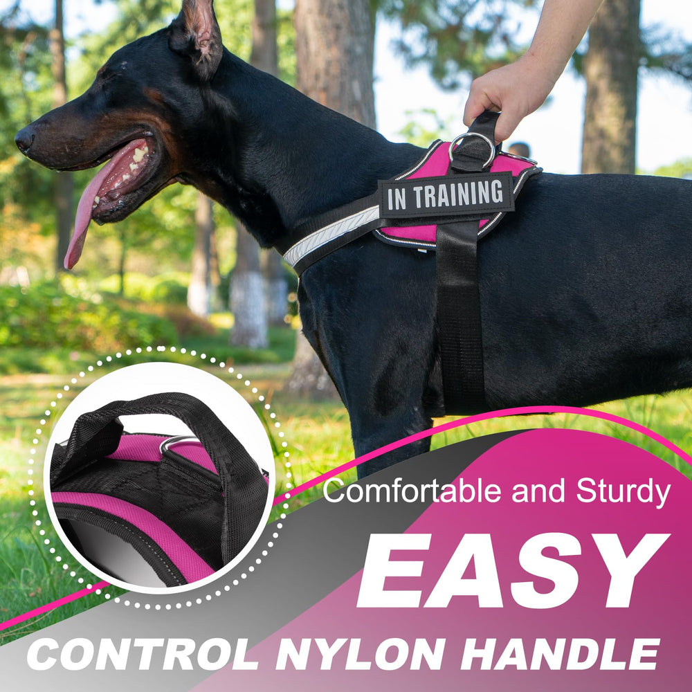 JUSTYEZI essential dog harness reflective trim increases visibility on evening walks