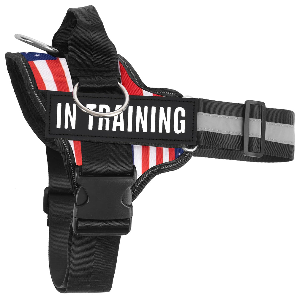 JUSTYEZI training-use harness offers flexible options for exercise and conditioning.