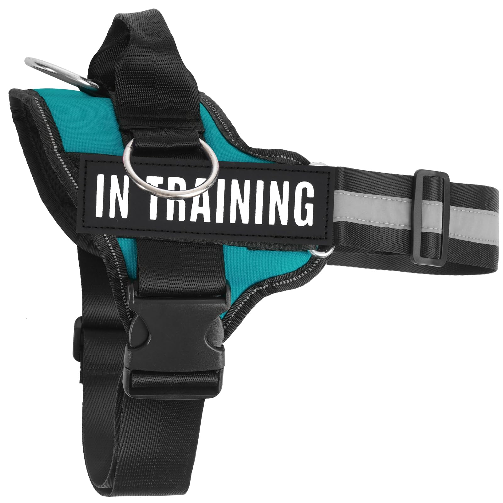 JUSTYEZI dusk-visibility harness in dim light enhancing safety during evening walks