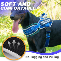 JUSTYEZI heavy-duty harness provides durable training support
