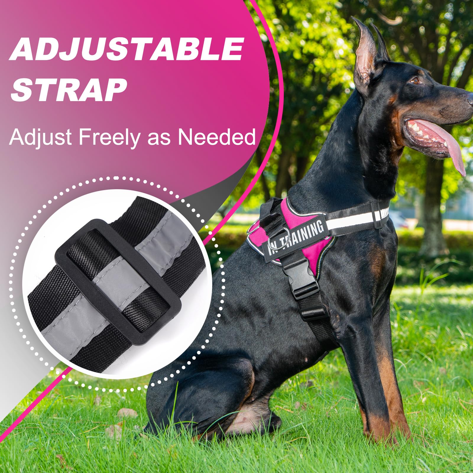 JUSTYEZI Lightweight, easy-on harness for quick, stress-free use