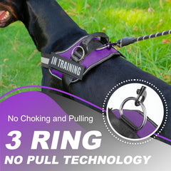 JUSTYEZI lightweight easy-on dog harness demonstrates quick wearing for less stressful outings.