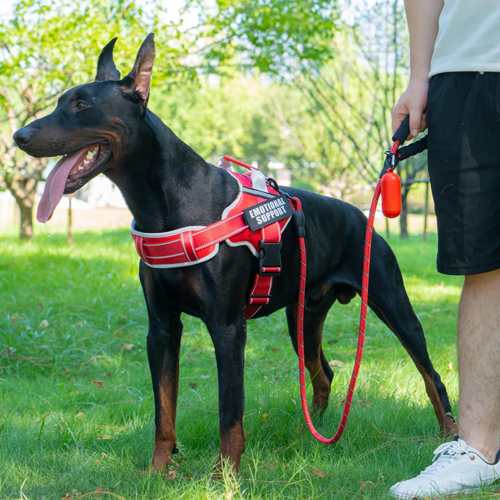 JUSTYEZI no-pull control harness reduces pulling during walks.