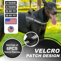 JUSTYEZI no-pull harness adjustable straps ensuring gentle control during enthusiastic daily walks