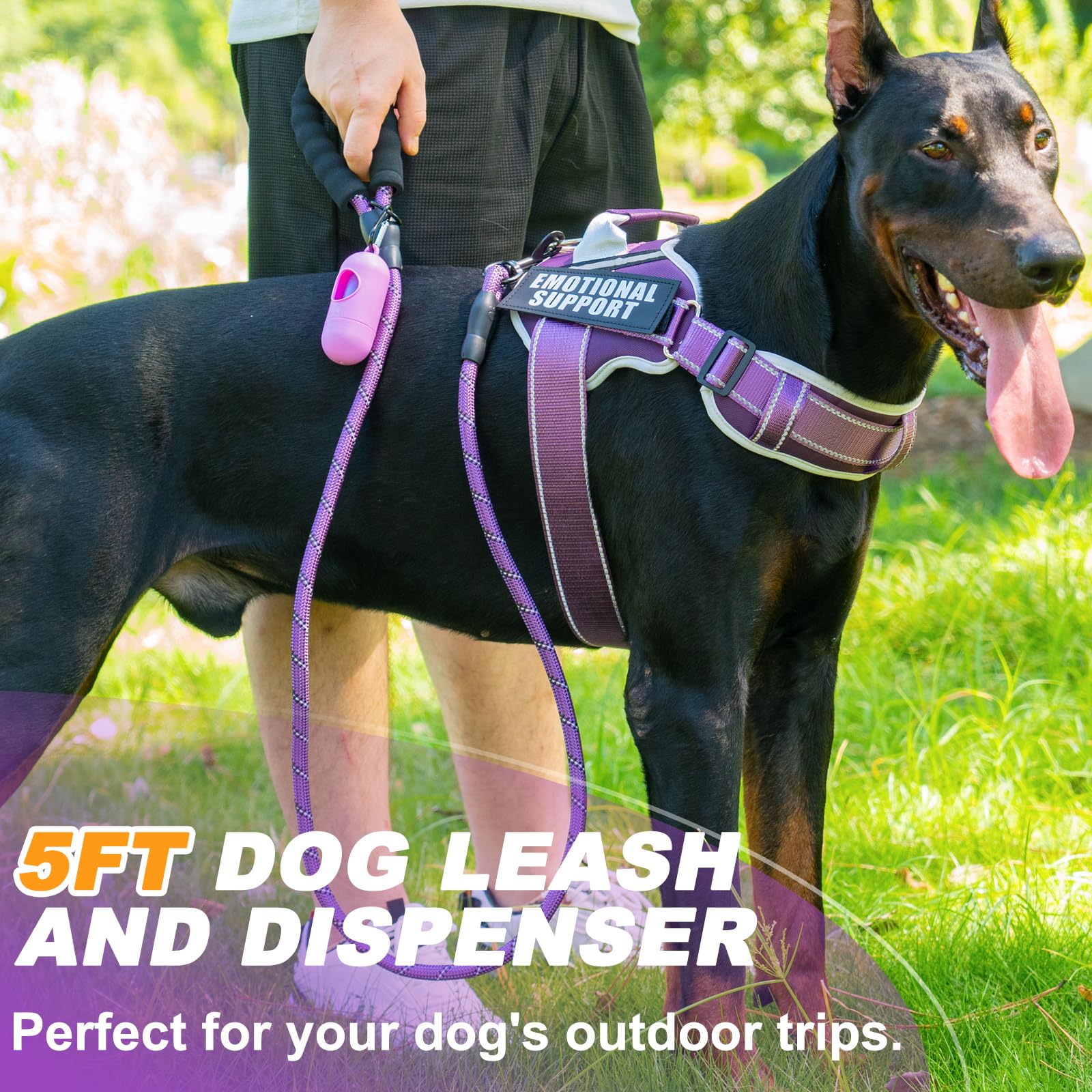 JUSTYEZI reflective strips boost safety at dusk on the harness.