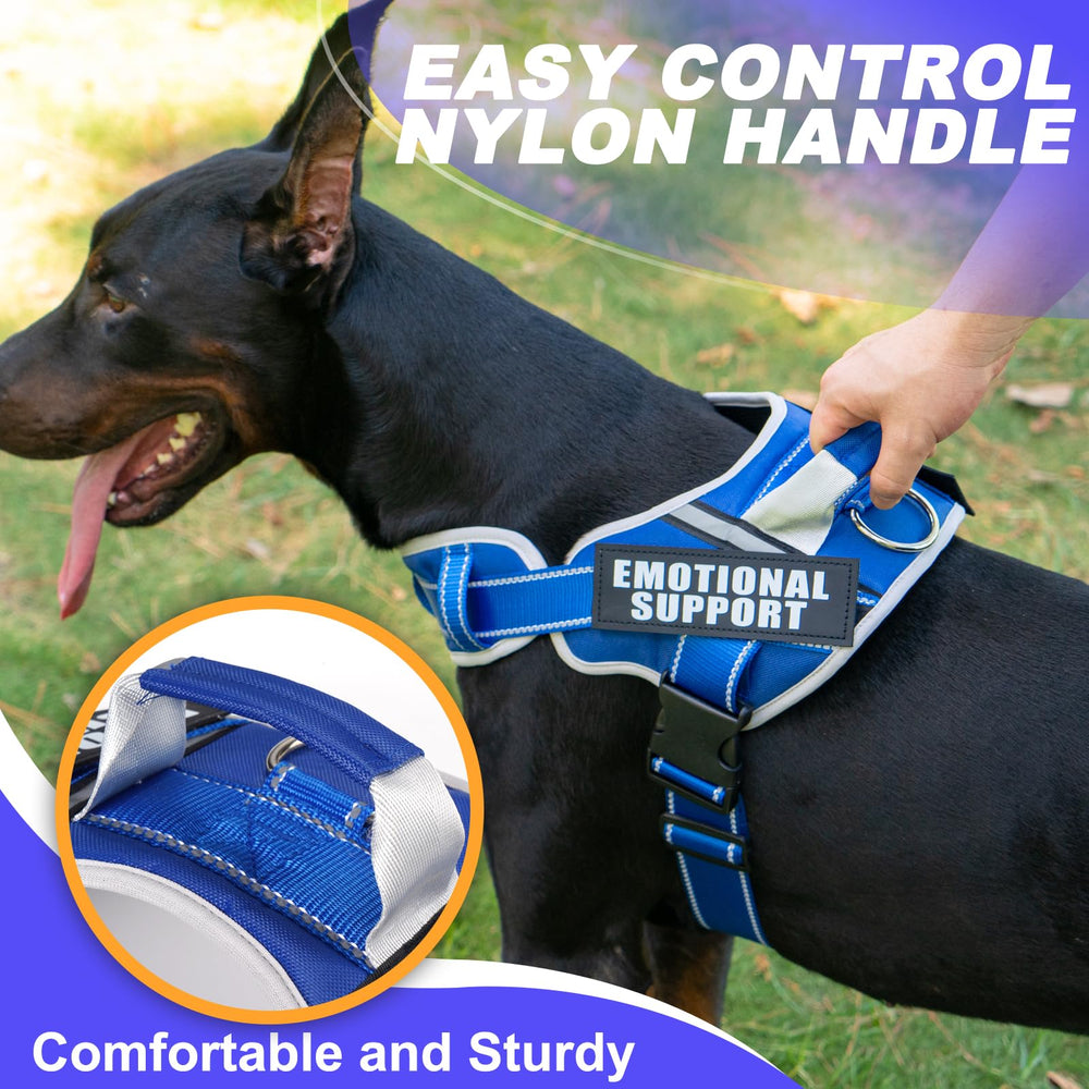 JUSTYEZI reflective vest improves safety during evening or dawn walks.