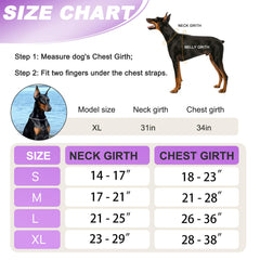 JUSTYEZI service-dog-vest-patches stay visible during training.