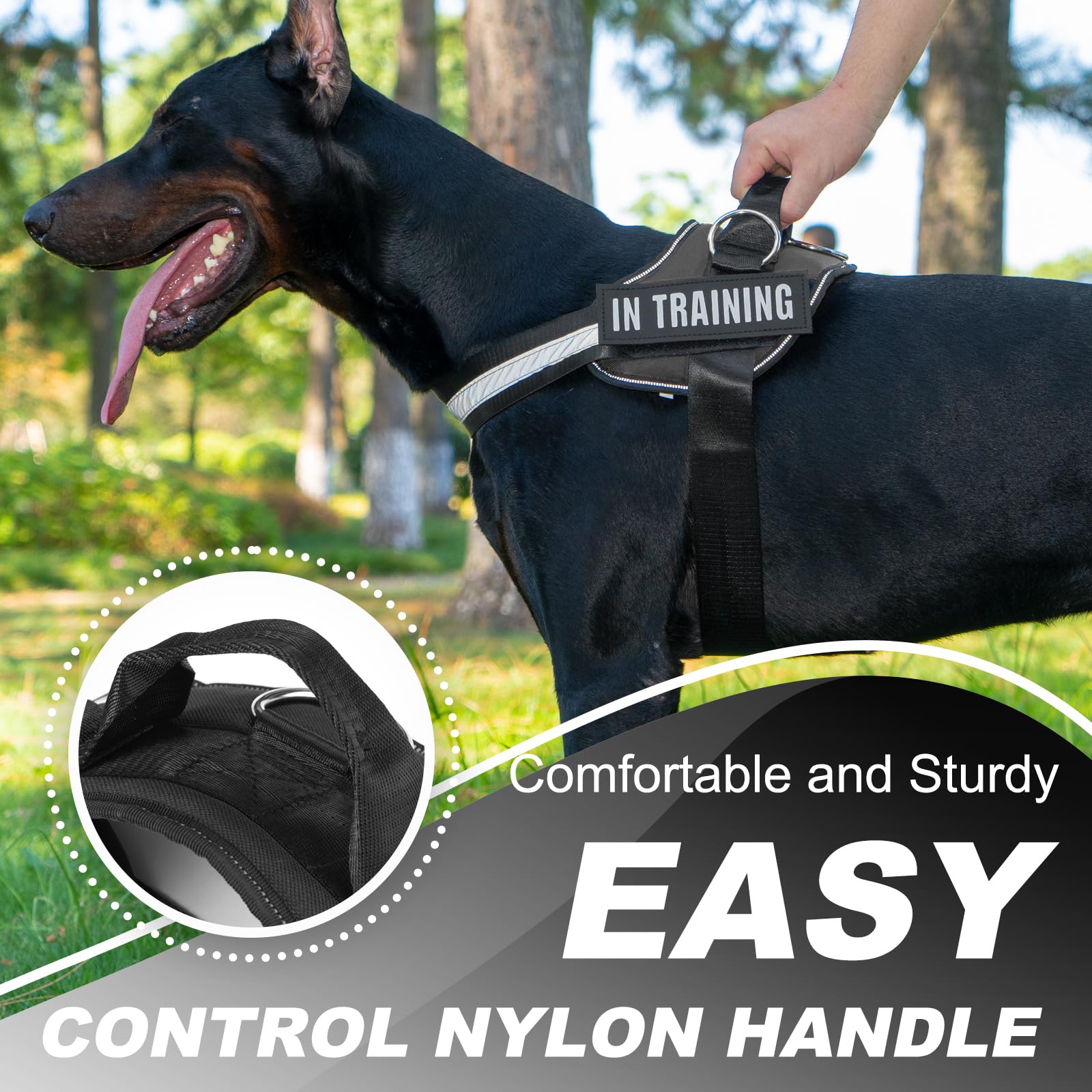 JUSTYEZI service-dog-vest-ready harness ideal for training sessions and certifications