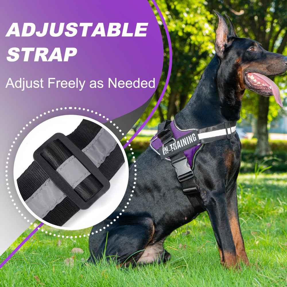 JUSTYEZI three-leash-clips dog harness offers flexible control during training or walks.