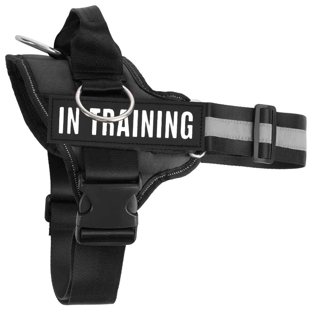 JUSTYEZI versatile walking and training harness supports three-lead clip setups