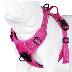 JUXZH Truelove harness back view with reflective trim for visible evening walks
