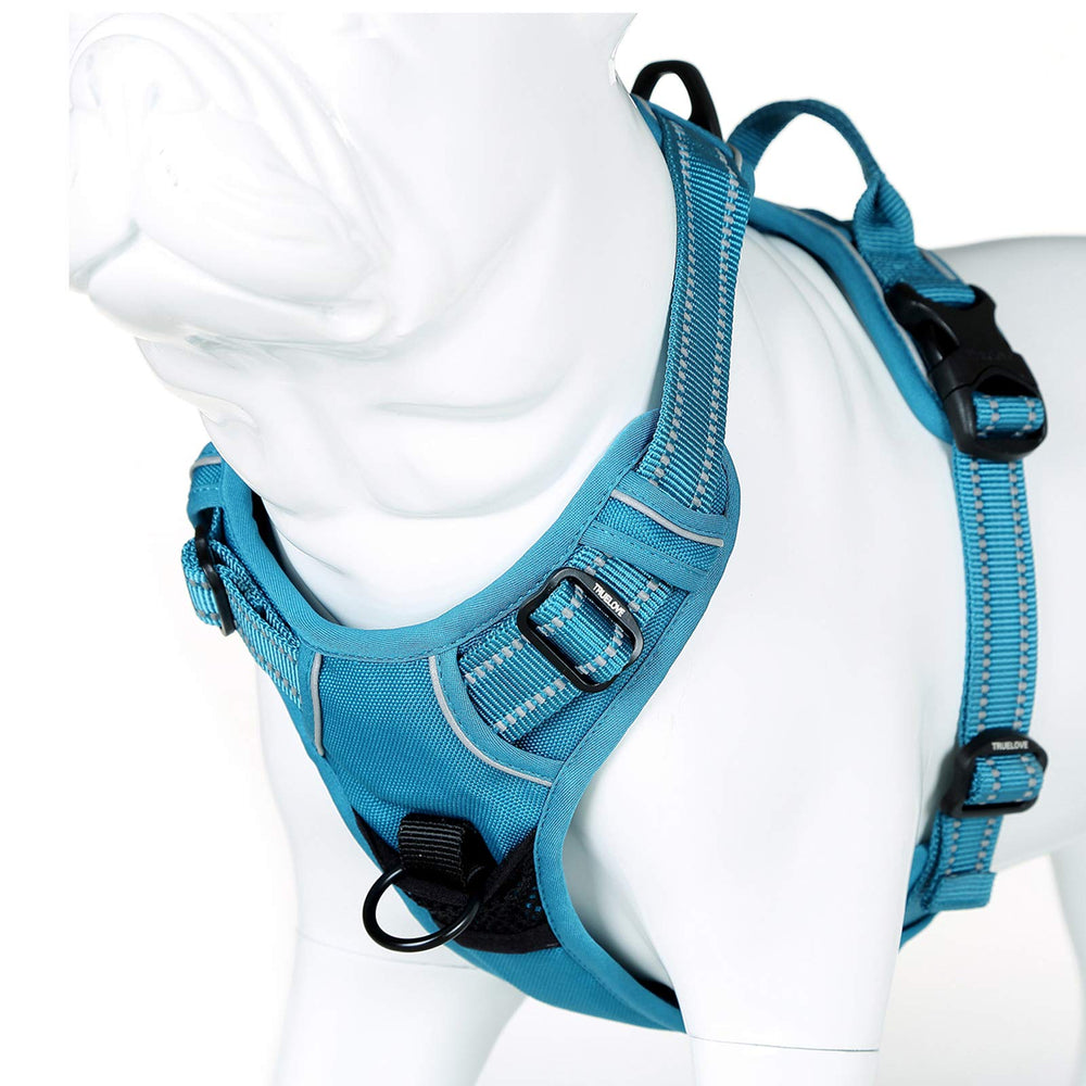 JUXZH Truelove harness car-seat attachment for easy secure rides