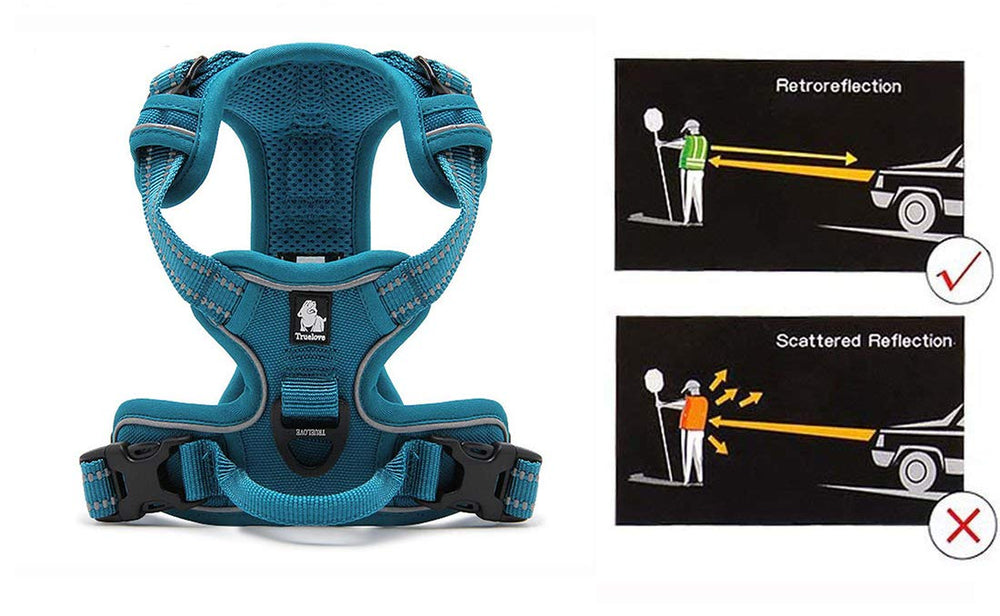 JUXZH Truelove harness Draflex buckle emphasizes strong, durable fastener