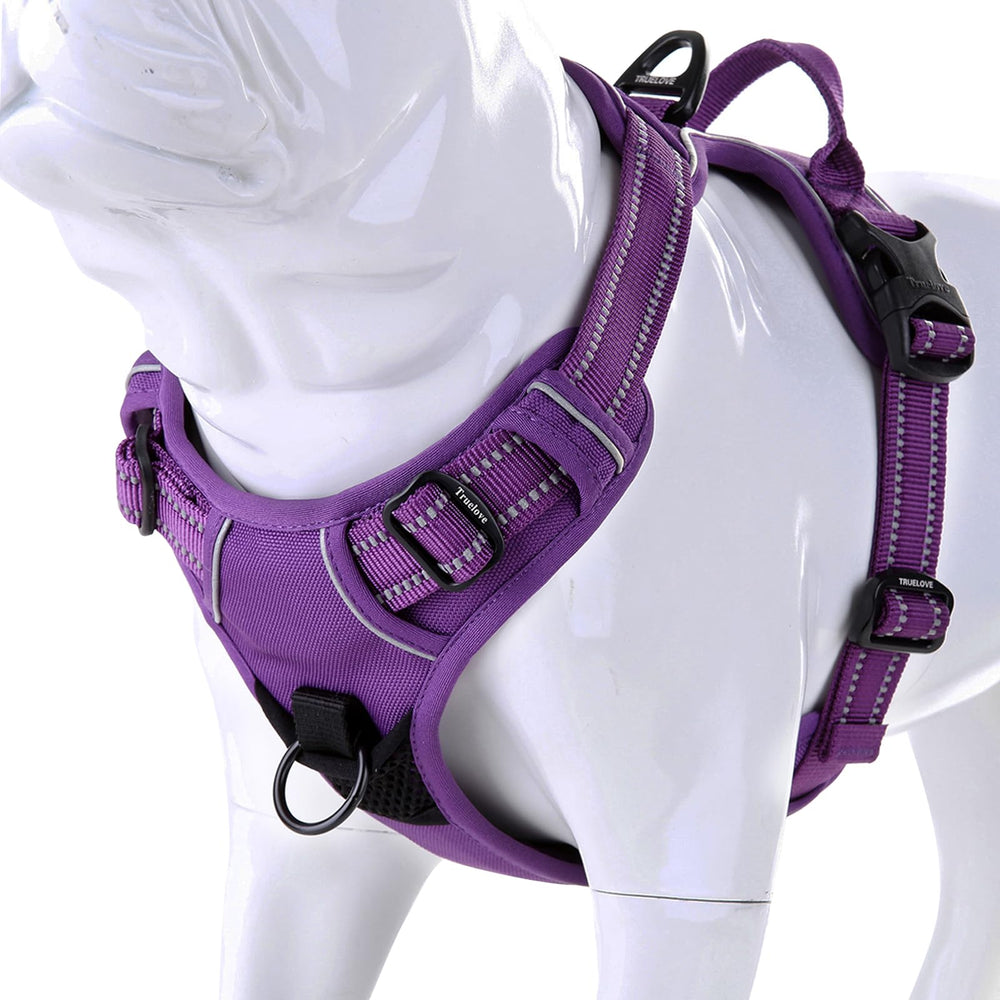 JUXZH Truelove sturdy-handle allows quick anchor during car rides.
