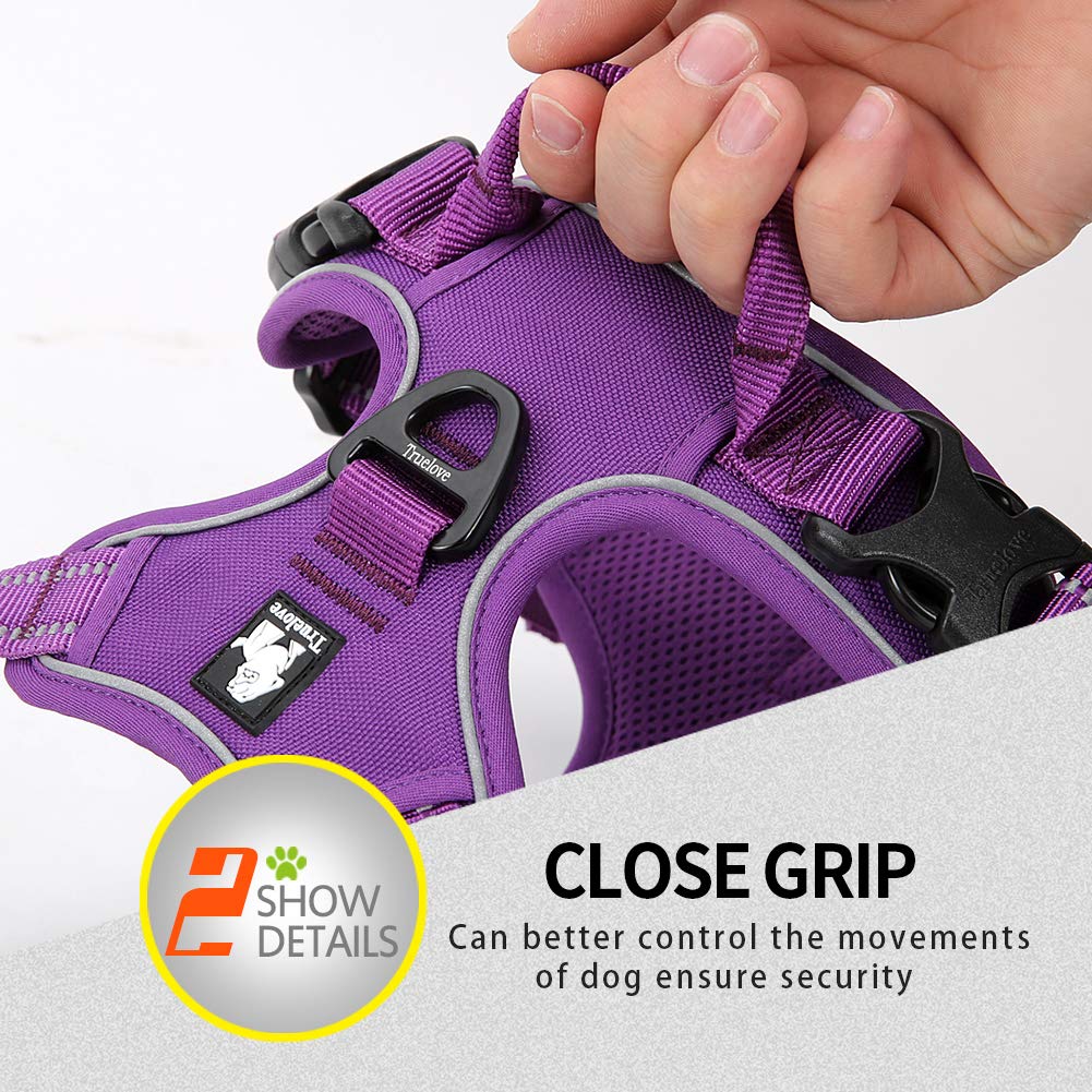 JUXZH Truelove purple-color harness adds stylish visibility during daily adventures.
