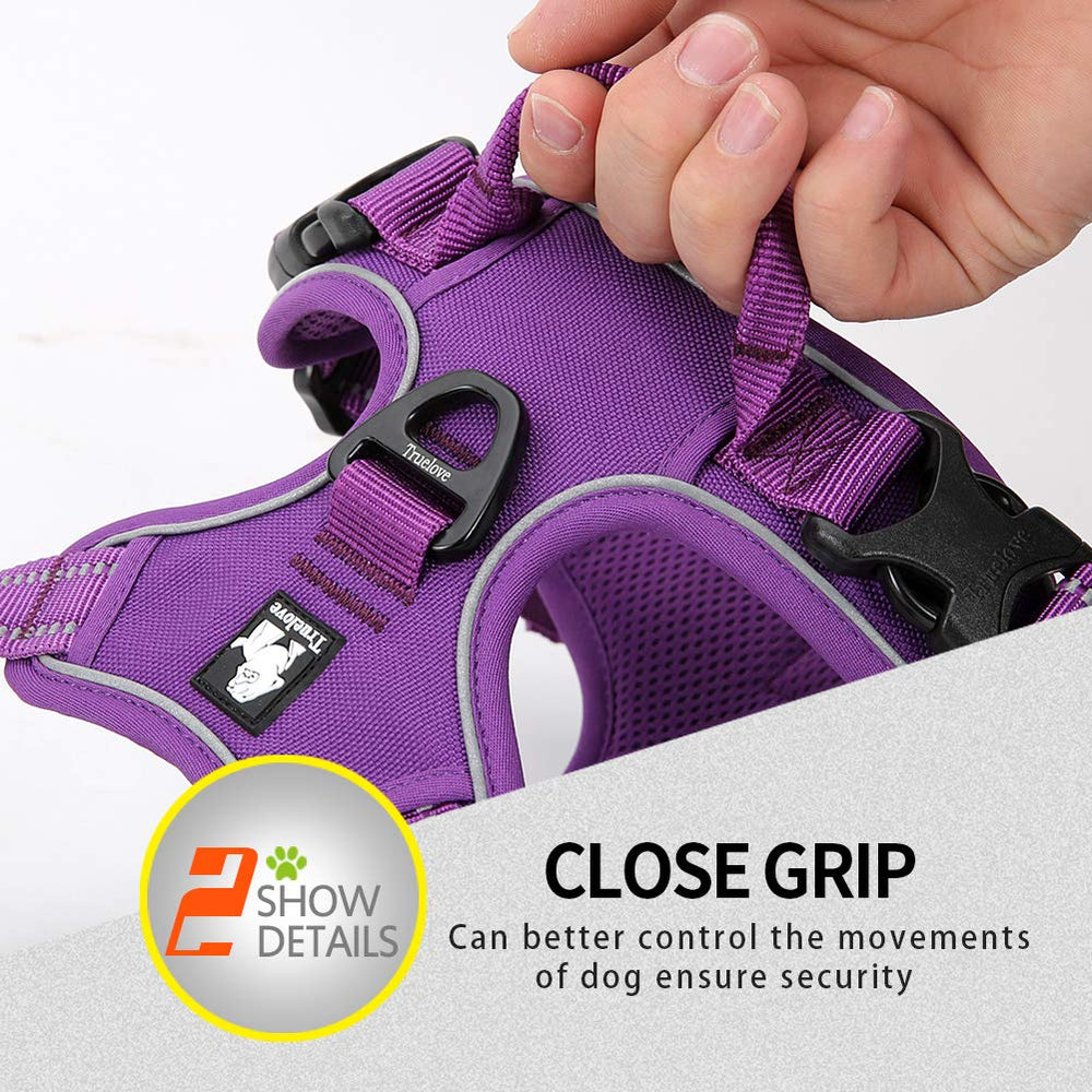 JUXZH Truelove purple-color harness adds stylish visibility during daily adventures.