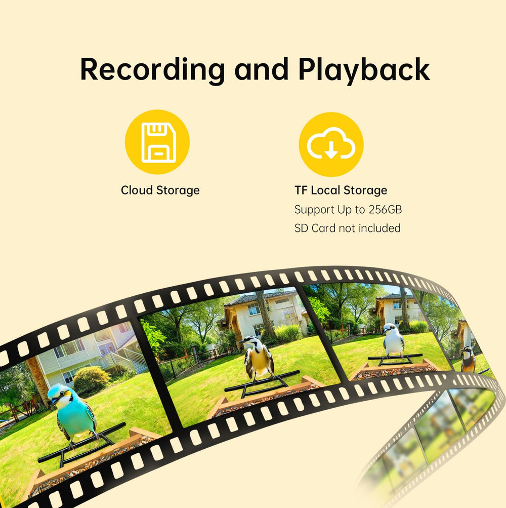 Juzjuly in app live feed enables remote backyard monitoring
