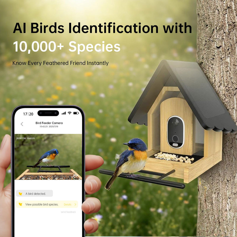 Juzjuly Solar Powered Bird Feeder highlights built in battery in sunlight