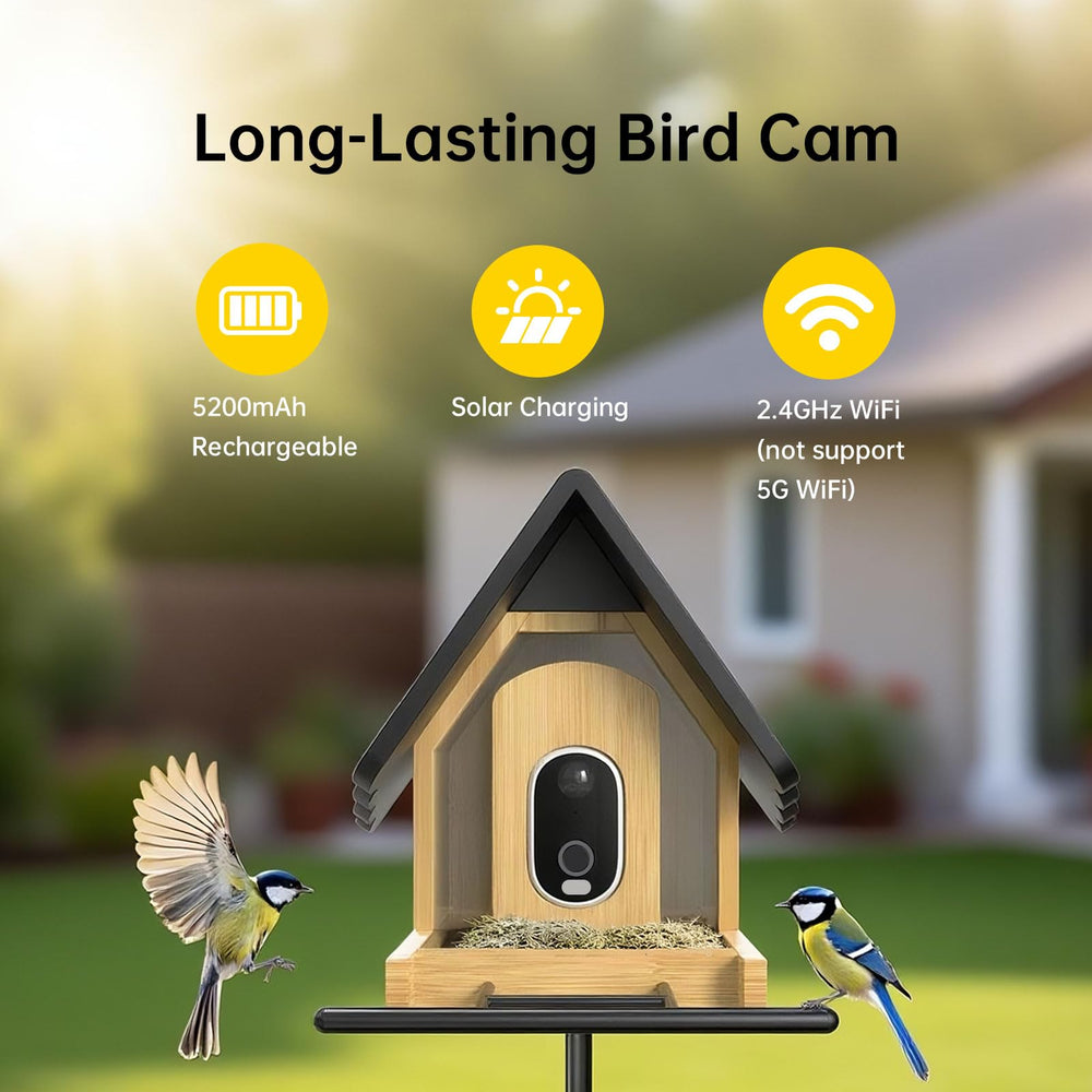 Juzjuly squirrel deterrent visuals and eagle calls help protect seed