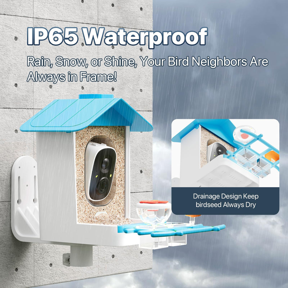 juzjuly smart bird feeder camera 2k monitoring highlights feather details and bird behaviors.
