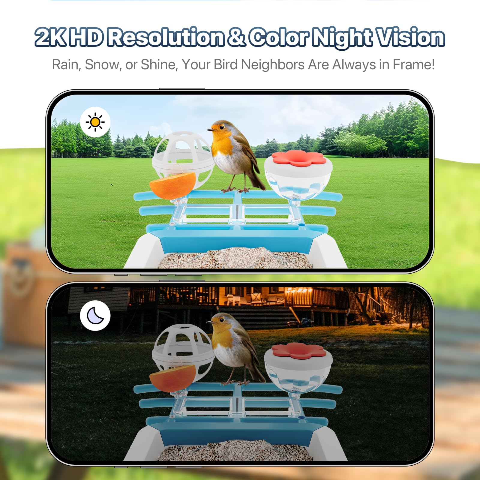 juzjuly smart bird feeder camera night vision reveals vivid colors in low light.
