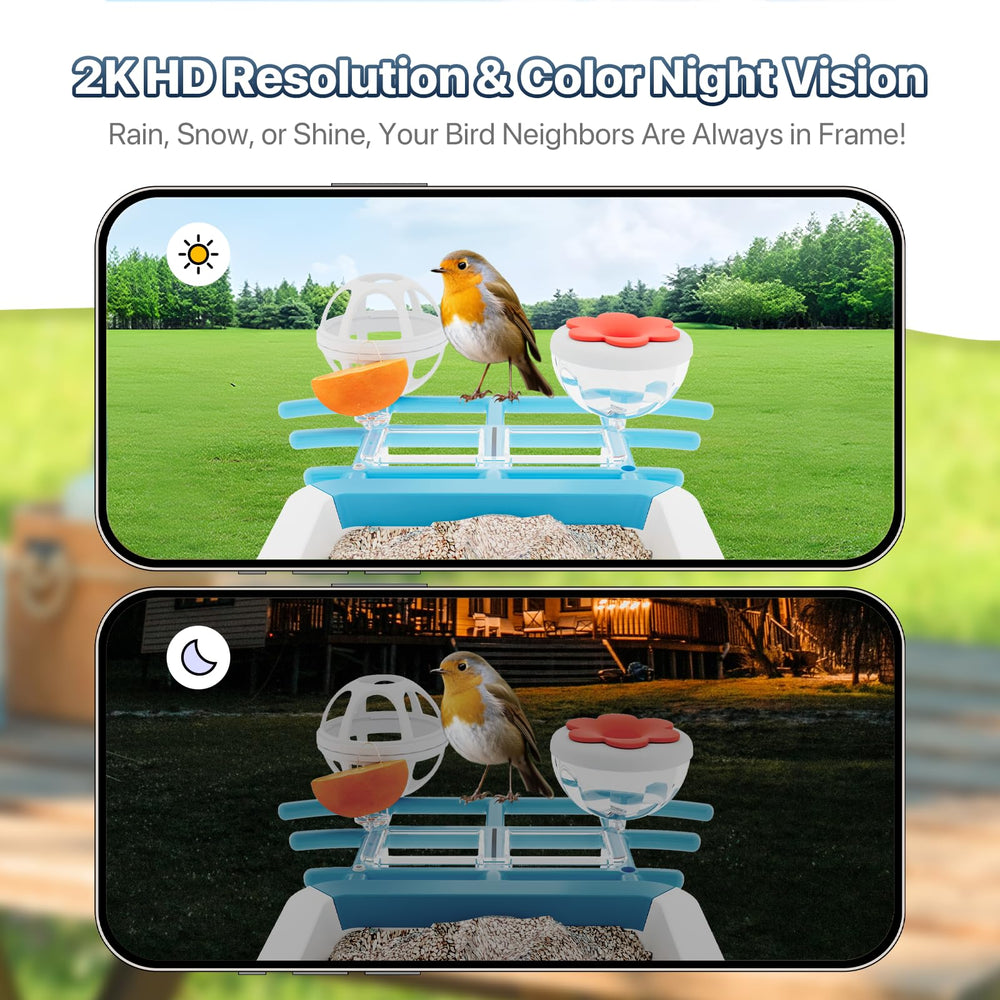 juzjuly smart bird feeder camera night vision reveals vivid colors in low light.