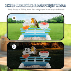 juzjuly smart bird feeder camera night vision reveals vivid colors in low light.