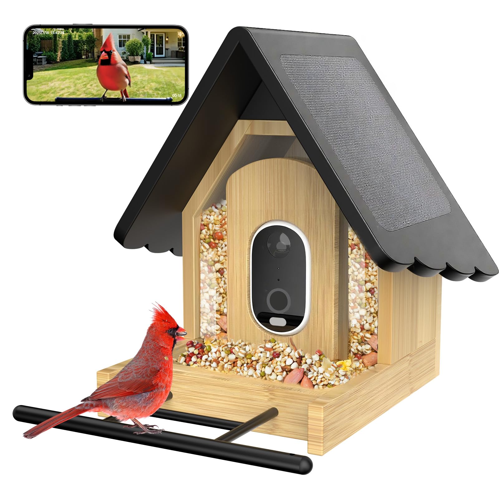 Juzjuly Smart Bird Feeder with Camera front view captures backyard birds in crisp 2K detail