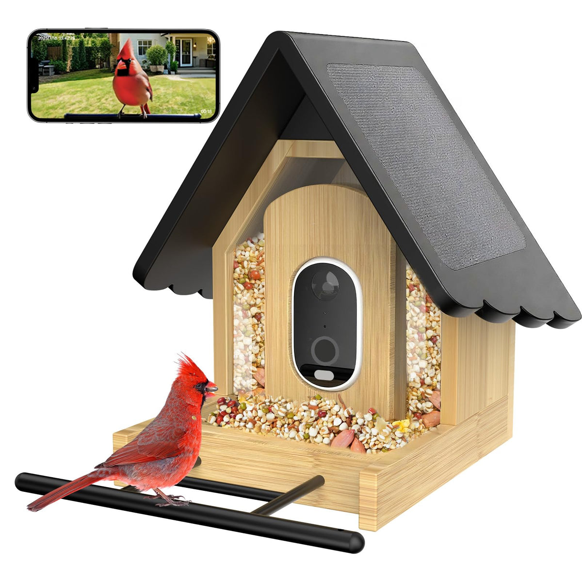 Juzjuly Smart Bird Feeder with Camera front view captures backyard birds in crisp 2K detail