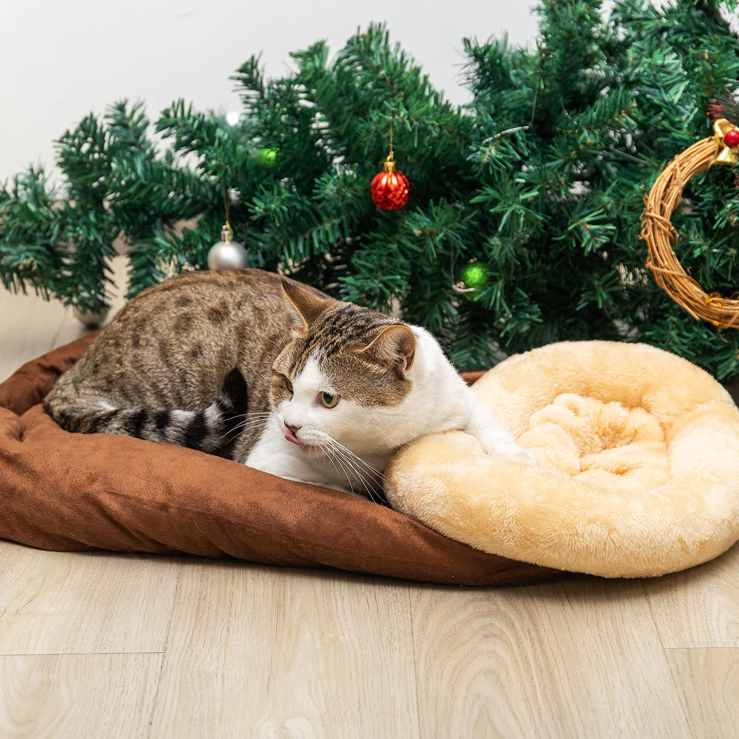JVVGPET cat cave bed folded-layout demonstrates easy storage and quick setup