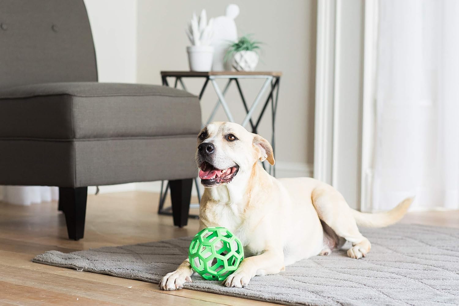 JW Pet HOL-Ee Roller 6.5-inch assorted colors enhances visibility and engagement.