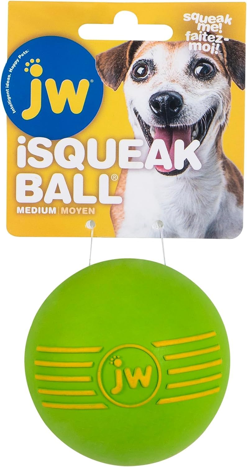 JW Pet iSqueak rugged natural rubber toy with long-lasting squeaker