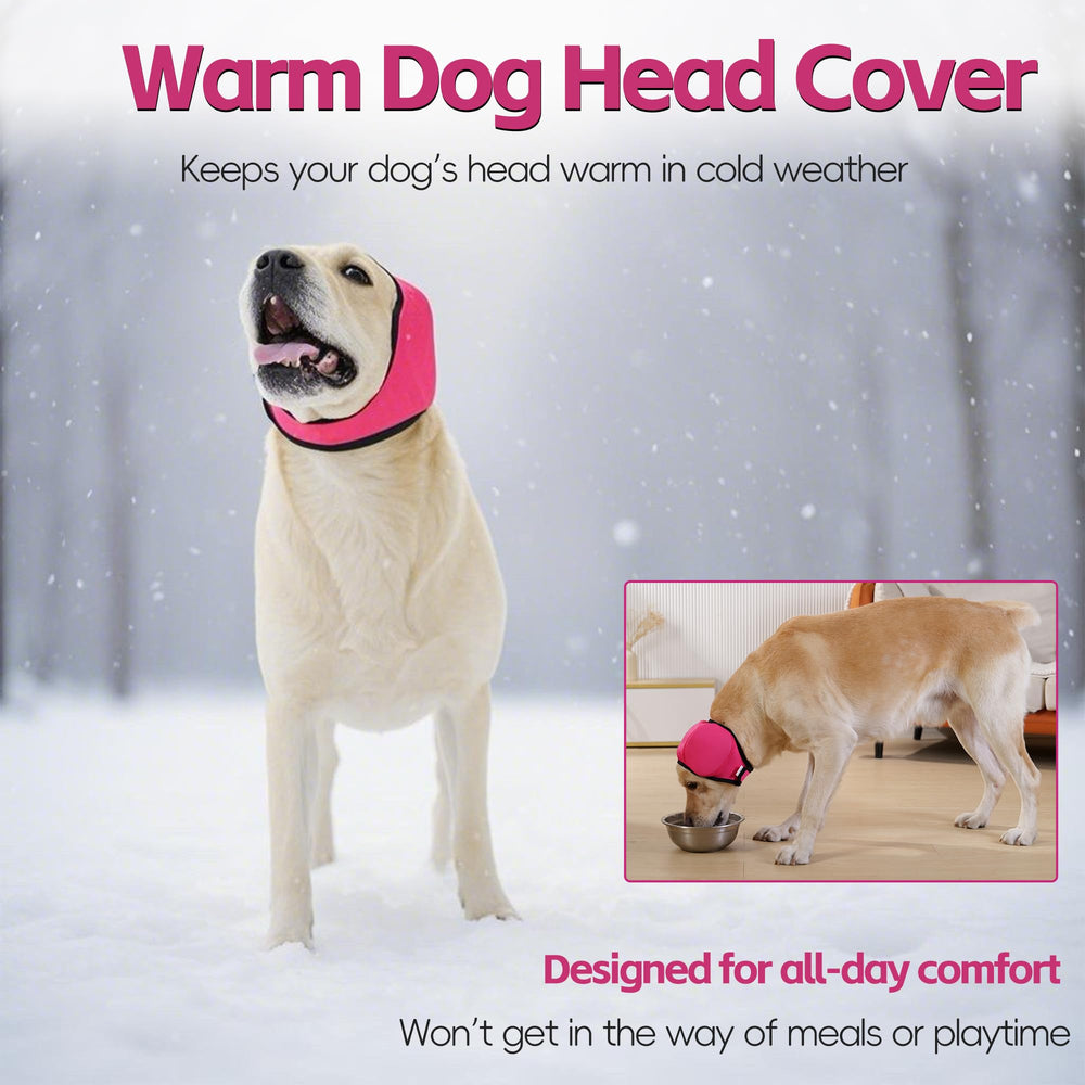 JynixTail rose pink hoodie near water illustrates swimming and water safety for dogs