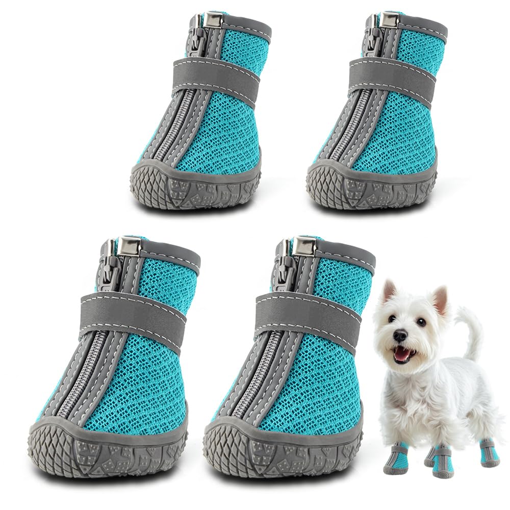 JZXOIVA dog shoes blue size 1 on puppy during an outdoor walk