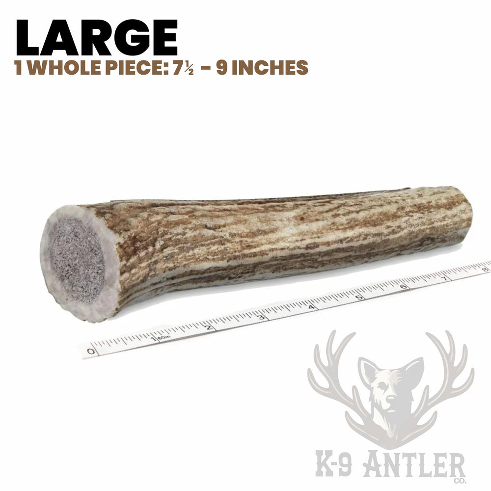K-9 Antler Co aggressive-chewer image highlights tough, long-lasting chew.