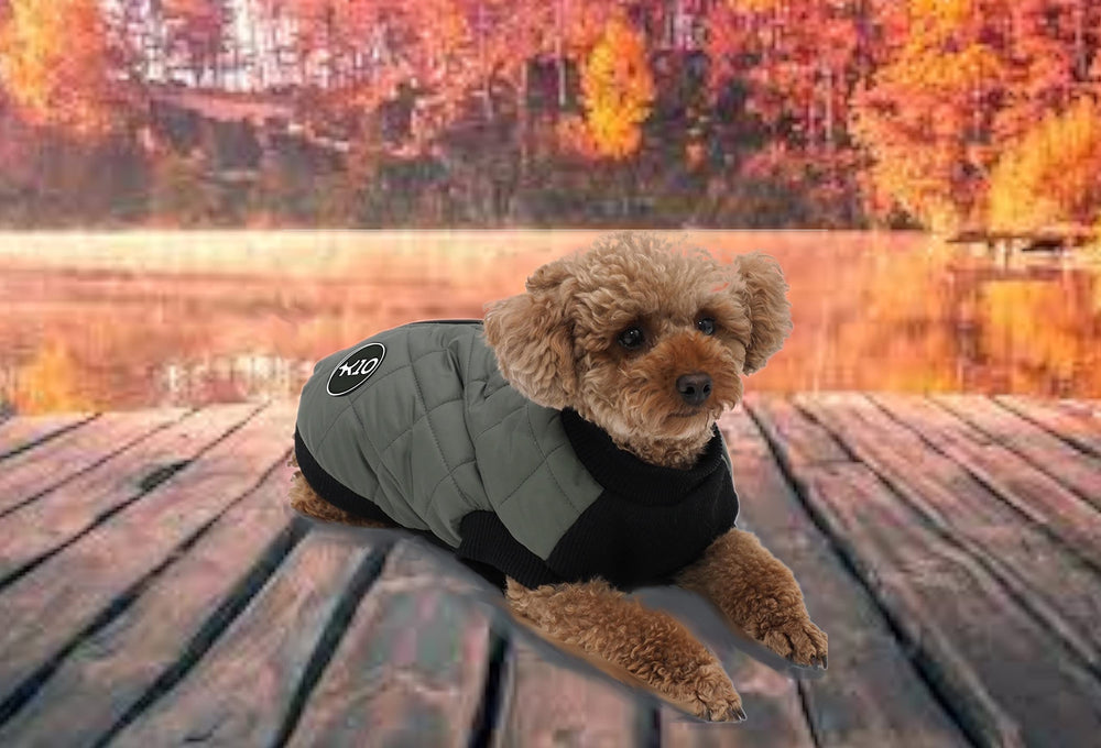 K10 Quiltee Coat built-in leash ring simplifies quick, on-the-go walks.