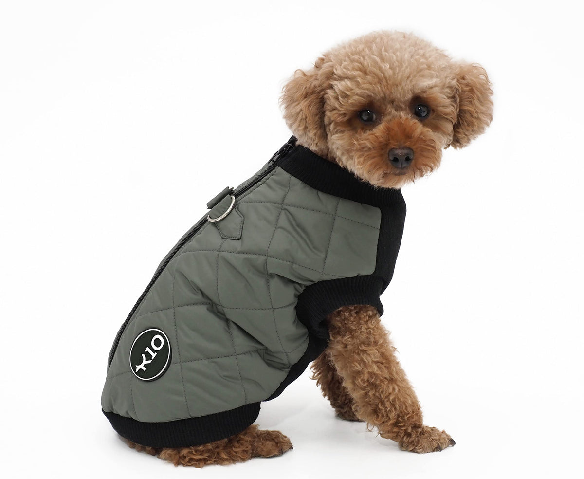 K10 Quiltee Coat water-resistant shell keeps your dog dry during drizzles.
