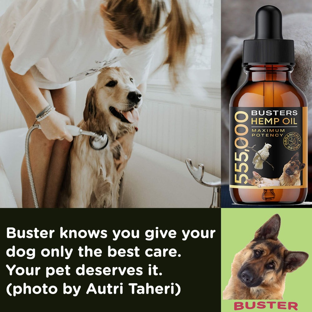K2xLabs Buster's 4-pack packaging showing convenience and long-term supply for pets