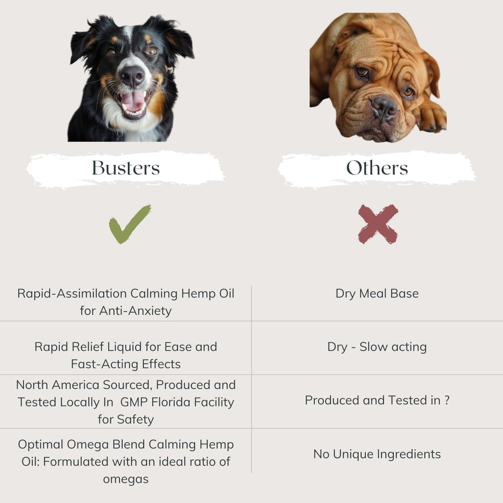 K2xLabs Busters dog-cat calm at home image demonstrating relaxed pets.